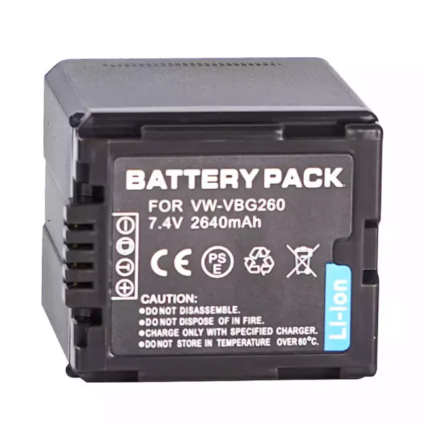 Batería para PANASONIC HDC-SD600 HDC-SD700 HDC-SDT750 HDC-TM300 HDC-TM700 SDR-H80 - Imagen 2