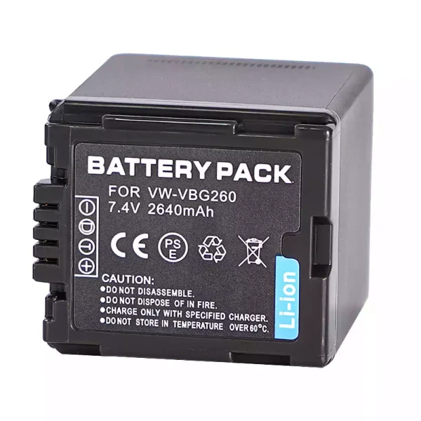 Batería para PANASONIC HDC-SD600 HDC-SD700 HDC-SDT750 HDC-TM300 HDC-TM700 SDR-H80 - Imagen 3
