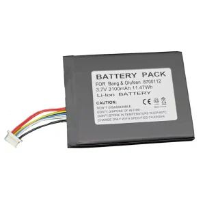 Batería del altavoz Bang & Olufsen BeoSound Moment,8700112